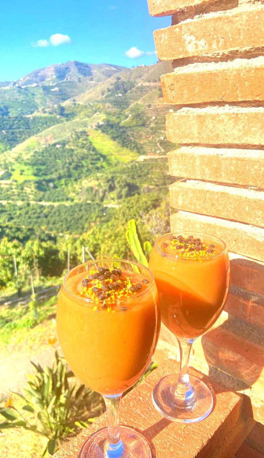 solyfrutahome-com-bio-finca-maracuya-03