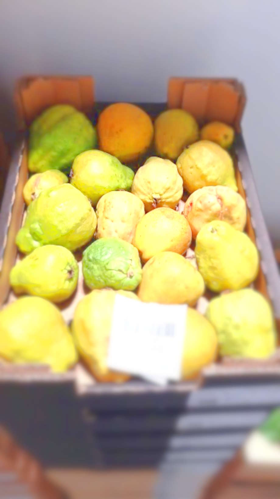 solyfrutahome-com-bio-finca-maracuya-07
